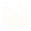 SALADS